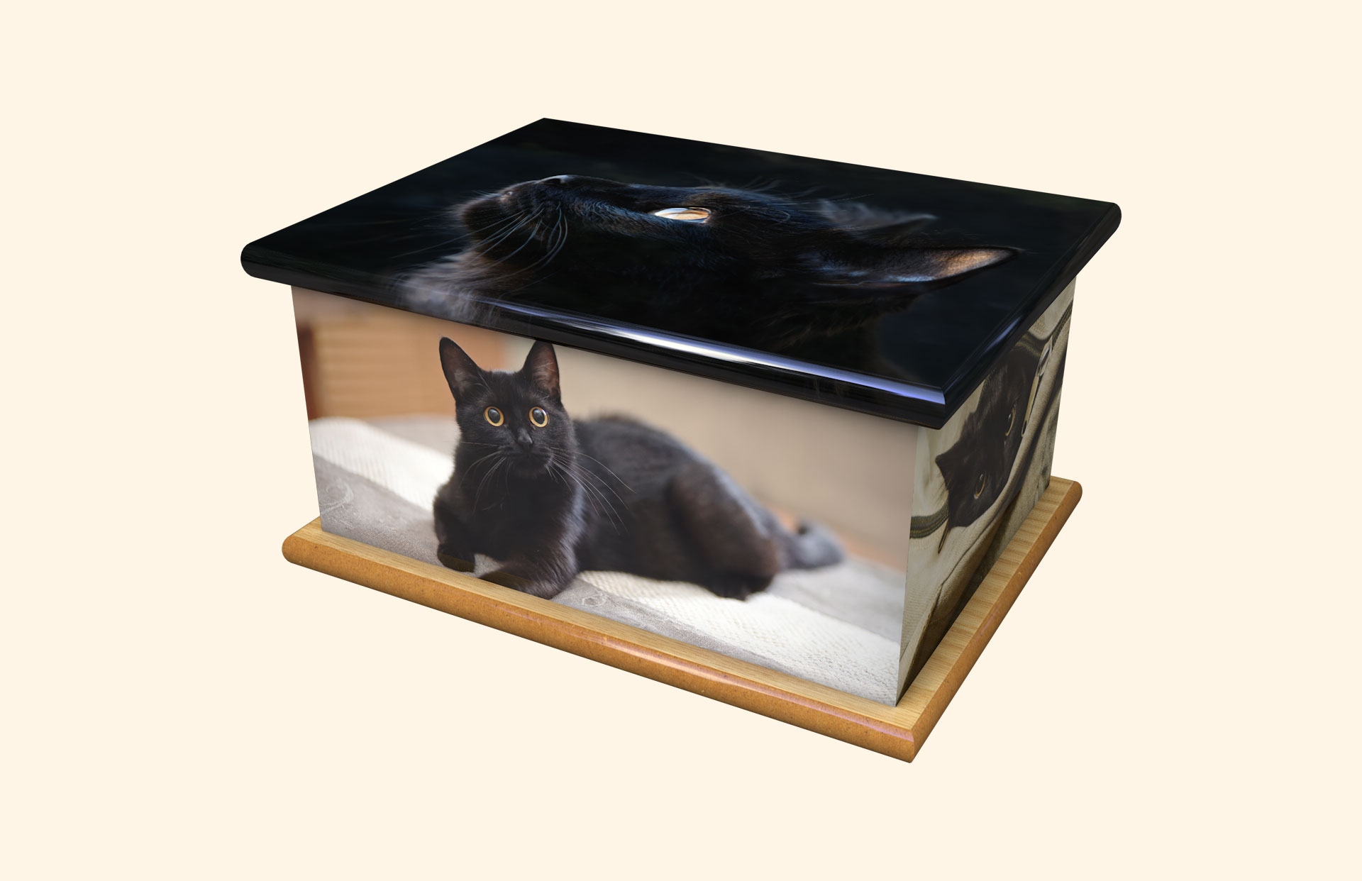 Tickles adult ashes casket